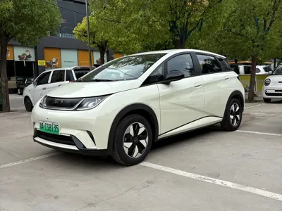 BYD Dolphin · 2026 год