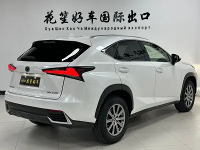 Lexus NX 2020, 69000 км, за 173800 CNY - фото 7