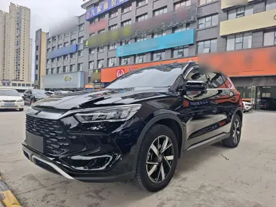 BYD Pro New Energy · 2024 год