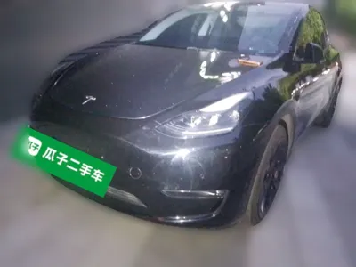 Tesla Model Y · 2021 год