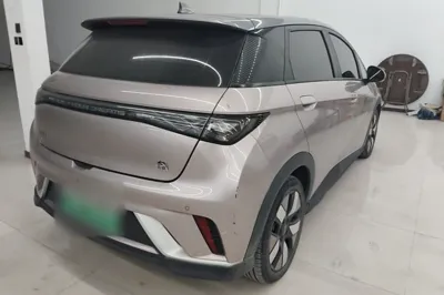 BYD Dolphin 2021, 50400 км, за 72125.55 CNY - фото 6