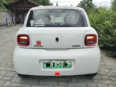 ORA Ora Black Cat 2019, 121900 км, за 25700 CNY - фото 4