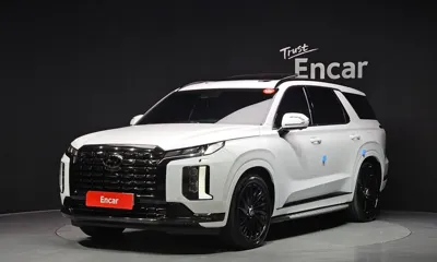 Hyundai Palisade · 2024 год