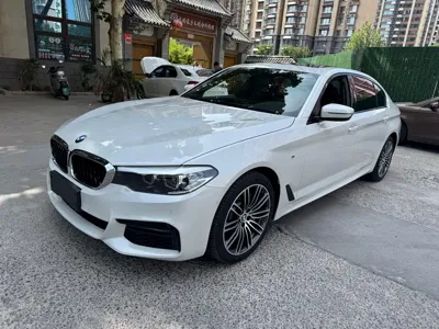 BMW 5 Series · 2019 год