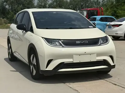 BYD Dolphin 2023, 25000 км, за 58800 CNY