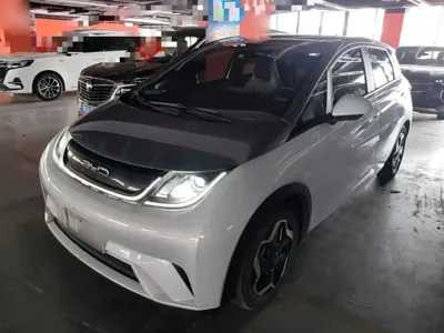 BYD Dolphin · 2021 год