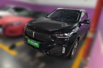 WEY VV6 · 2020 год
