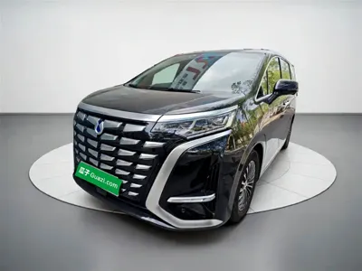 Denza Denza D9 · 2024 год