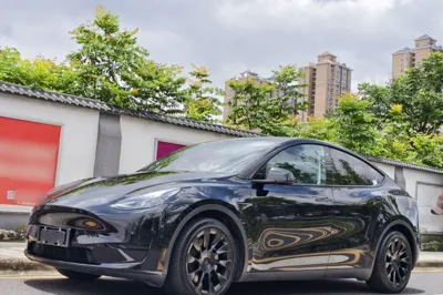 Tesla Model Y · 2022 год
