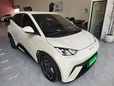 BYD Seagull 2024, 28800 км, за 50599 CNY