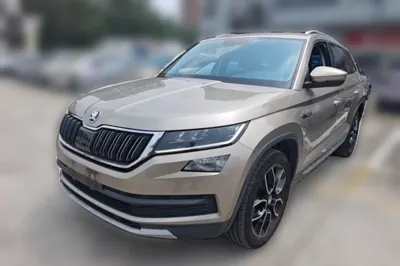 Skoda Kodiaq · 2018 год