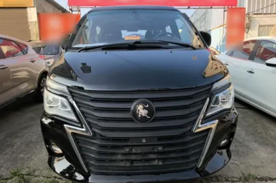 Forthing Lingzhi 2022, 69200 км, за 53472.83 CNY