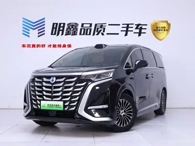 Denza Denza D9 · 2025 год