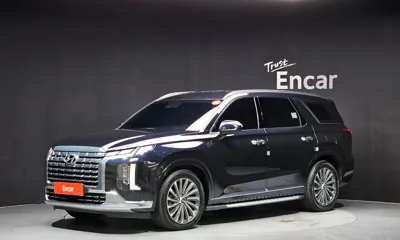 Hyundai Palisade · 2024 год