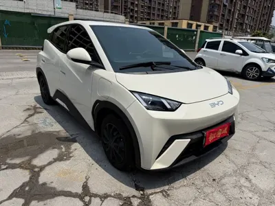 BYD Seagull 2024, 50000 км, за 45800 CNY