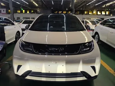 BYD Dolphin 2023, 29500 км, за 61600 CNY - фото 3