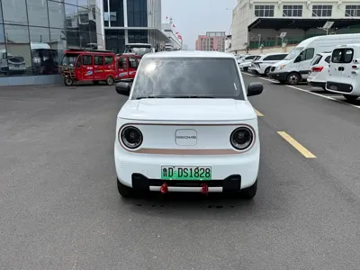 Galaxy Panda 2025, 5000 км, за 28800 CNY
