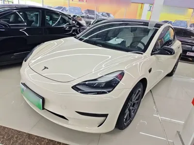 Tesla Model 3 2021, 57400 км, за 121300 CNY