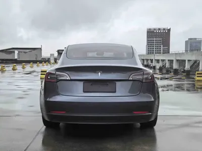 Tesla Model 3 2020, 54000 км, за 125800 CNY