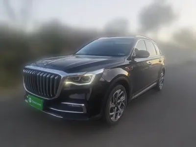 Hongqi HS7 · 2022 год