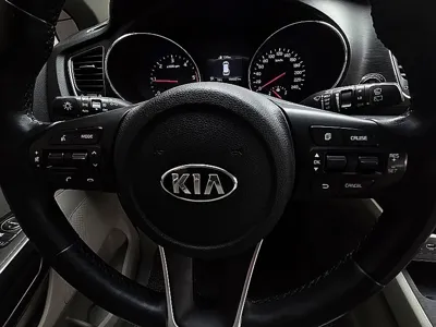 Kia Canival 2019, 144321 км, за 12400000 KRW - фото 15