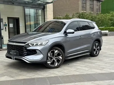 BYD Pro New Energy · 2024 год