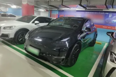Tesla Model Y · 2021 год