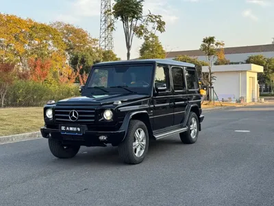 Mercedes-Benz G-Class · 2011 год