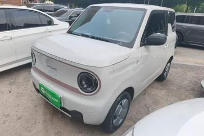 Geely Galaxy Panda · 2024 год