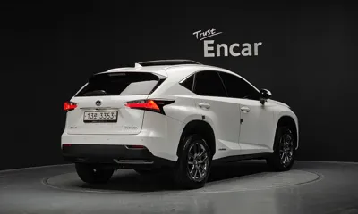 Lexus NX 2017, 26459 км, за 32500000 KRW