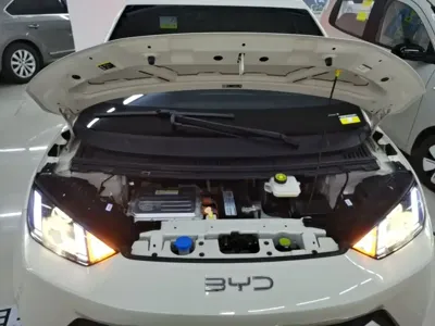 BYD Seagull 2025, 8900 км, за 52800 CNY - фото 20
