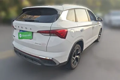 Skoda Kamiq 2020, 51300 км, за 45254.08 CNY - фото 6