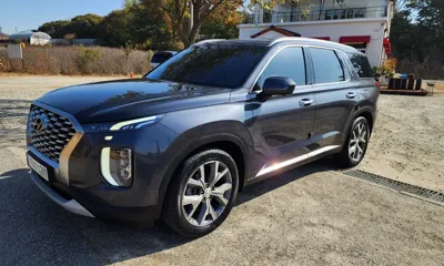 Hyundai Palisade · 2022 год