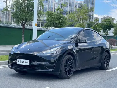 Tesla Model Y 2021, 110000 км, за 125600 CNY
