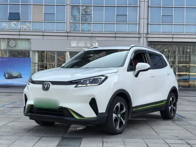 Changan E-Pro · 2020 год