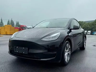 Tesla Model Y 2021, 70000 км, за 109700 CNY - фото 6