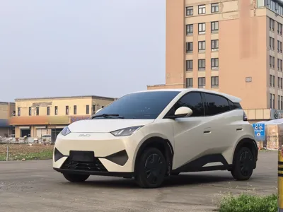 BYD Seagull · 2025 год