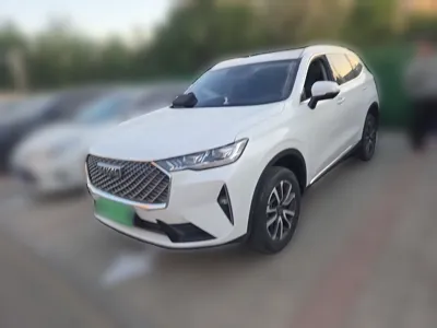 Haval H6 2021, 47900 км, за 57787.68 CNY - фото 1