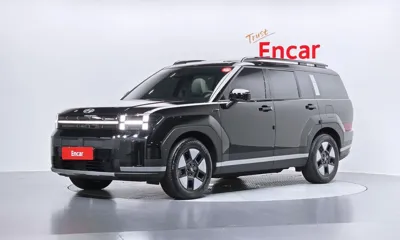 Hyundai Santafe · 2025 год