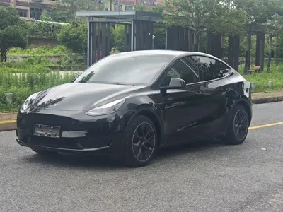 Tesla Model Y · 2022 год