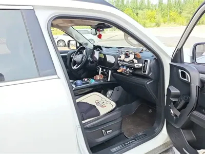 Haval Big Dog 2022, 29400 км, за 71000 CNY - фото 8