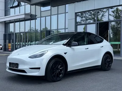 Tesla Model Y · 2022 год