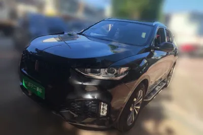 WEY VV6 · 2018 год