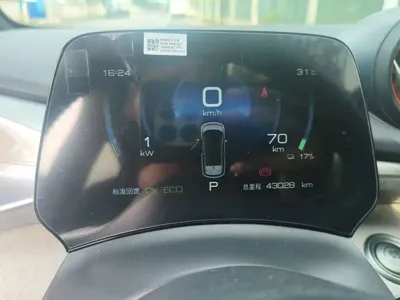BYD Dolphin 2023, 43000 км, за 55000 CNY - фото 8