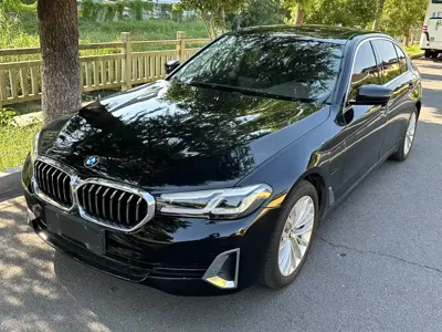 BMW 5 Series New Energy · 2021 год