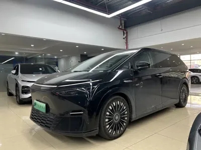 Xpeng X9 · 2025 год