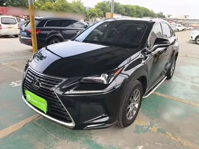 Lexus NX · 2019 год