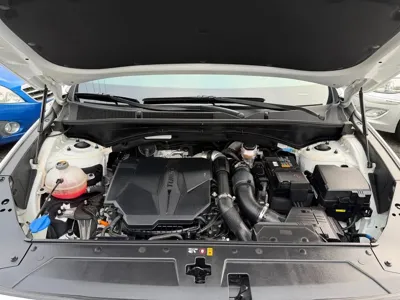 Hyundai Santafe 2021, 15223 км, за 27500000 KRW - фото 18