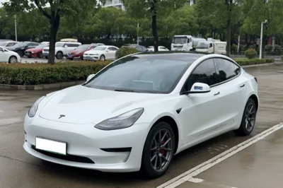 Tesla Model 3 · 2022 год