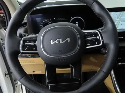 Kia Canival 2022, 135527 км, за 25800000 KRW - фото 8